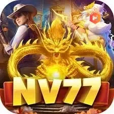 Logo nv77